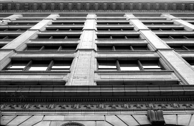 Looking straight up at the ornate stone facade of an office building, with rows of windows, pilasters, and a carved cornice with dentil molding along the roofline